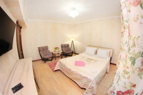 1BR apartment in the centre, Nazarbaev 42A